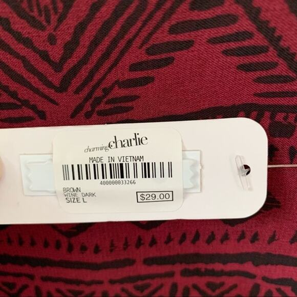 NWT Charming Charlie's Hi-Lo Boho Chiffon Tunic Top Large - Picture 3 of 6